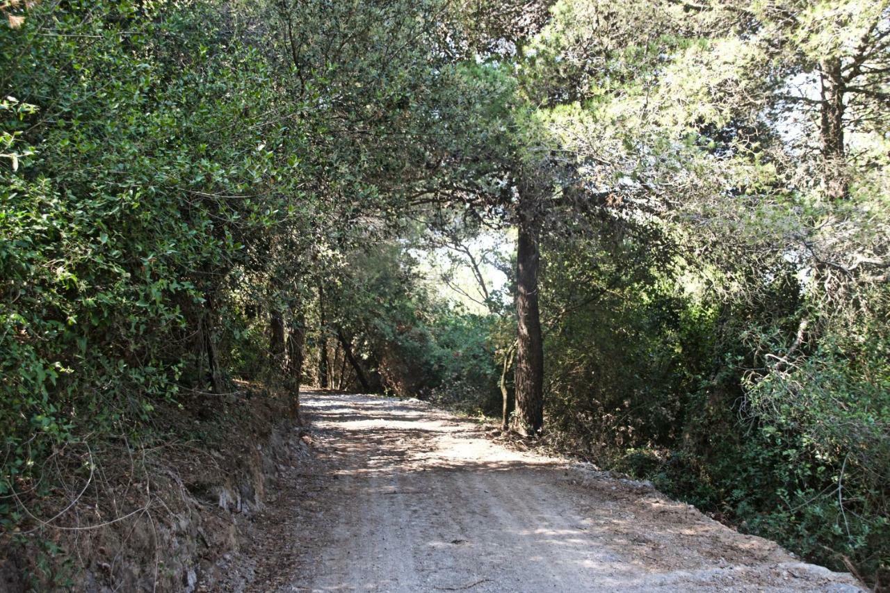 Casa Vacanze A Lea L'Ua Finale Ligure Dış mekan fotoğraf