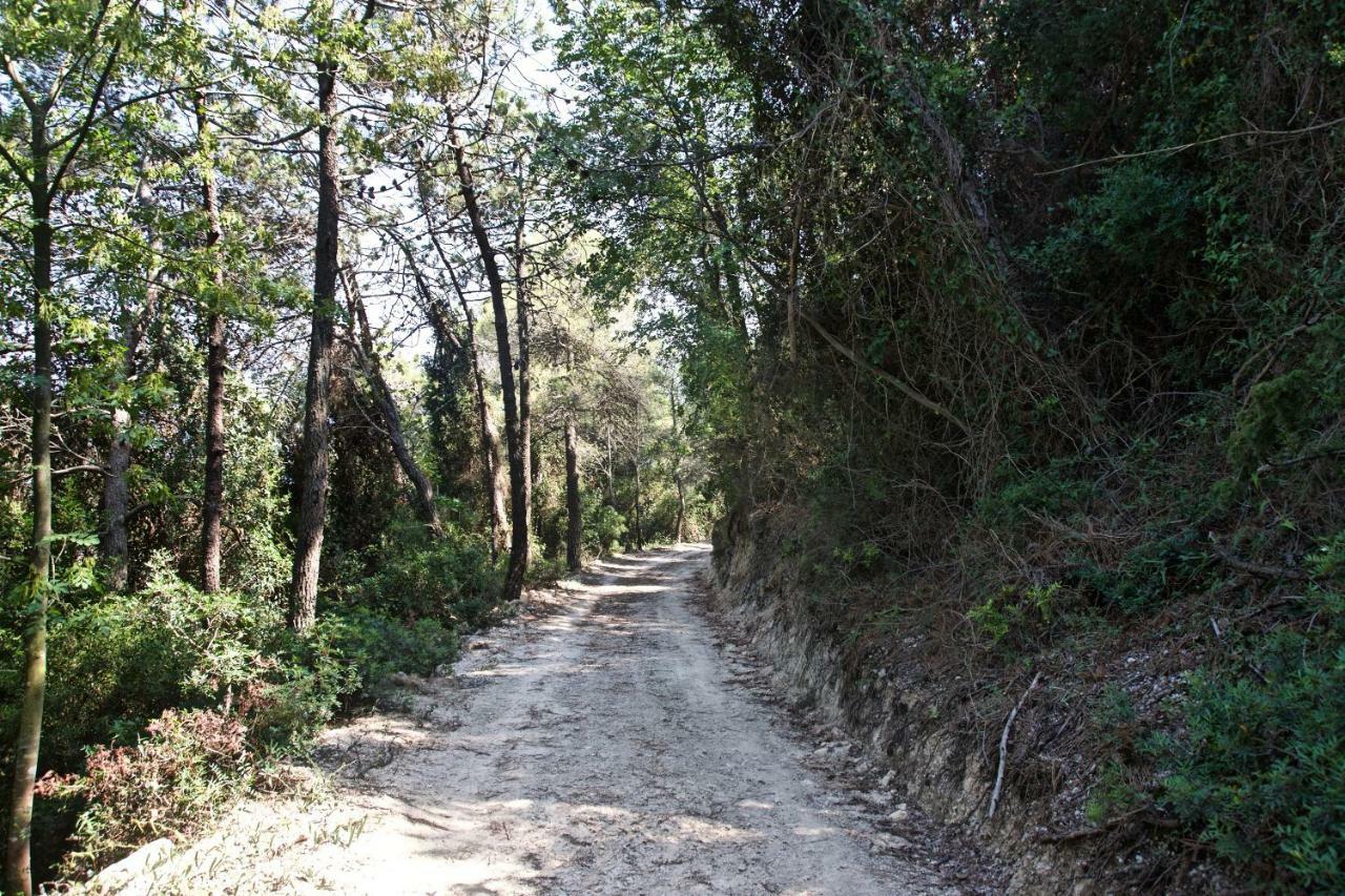 Casa Vacanze A Lea L'Ua Finale Ligure Dış mekan fotoğraf